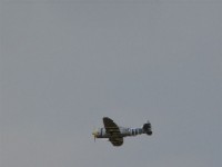 DSC00884.JPG